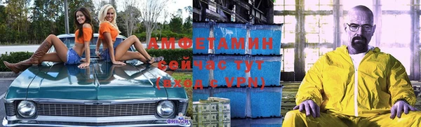 амф Алексин